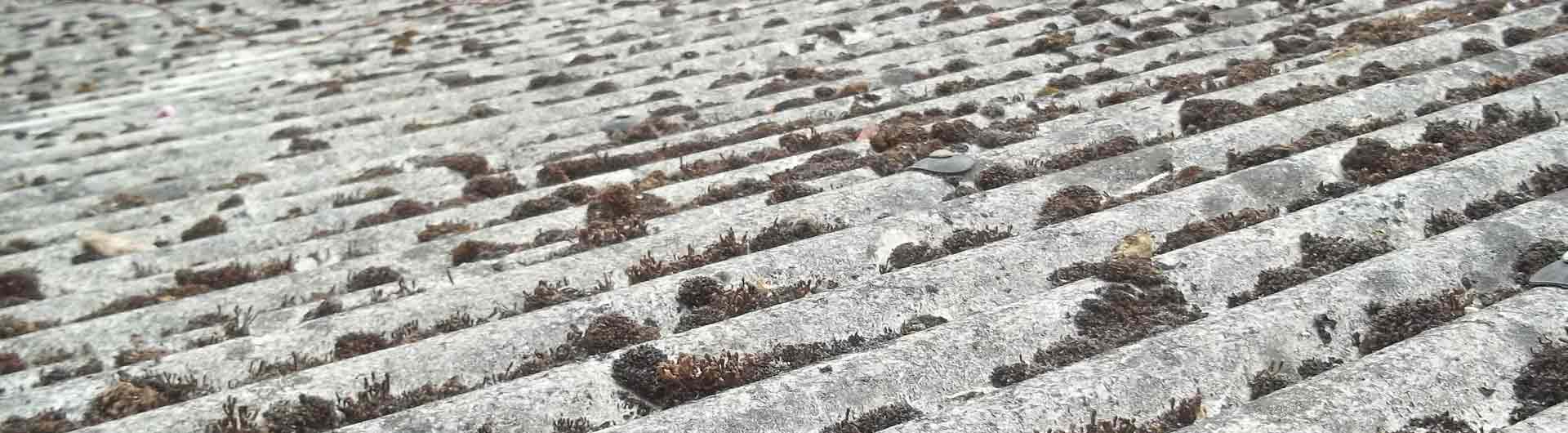 Asbestos covered roof